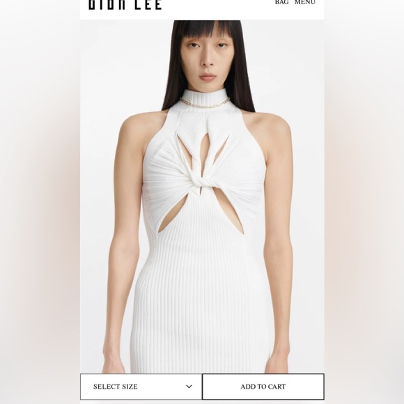 Dion Lee MUSCULAR TWIST MINI Dress - Picture 2 of 6